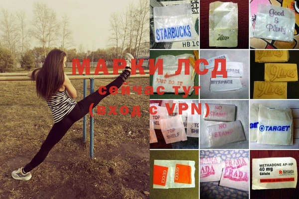 шишки Балахна