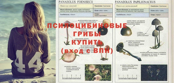 шишки Балахна