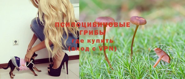 шишки Балахна