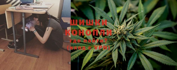 шишки Балахна