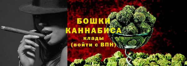 шишки Балахна