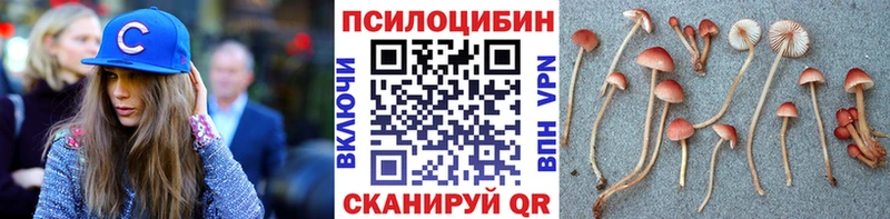 Псилоцибиновые грибы MAGIC MUSHROOMS  Куса 